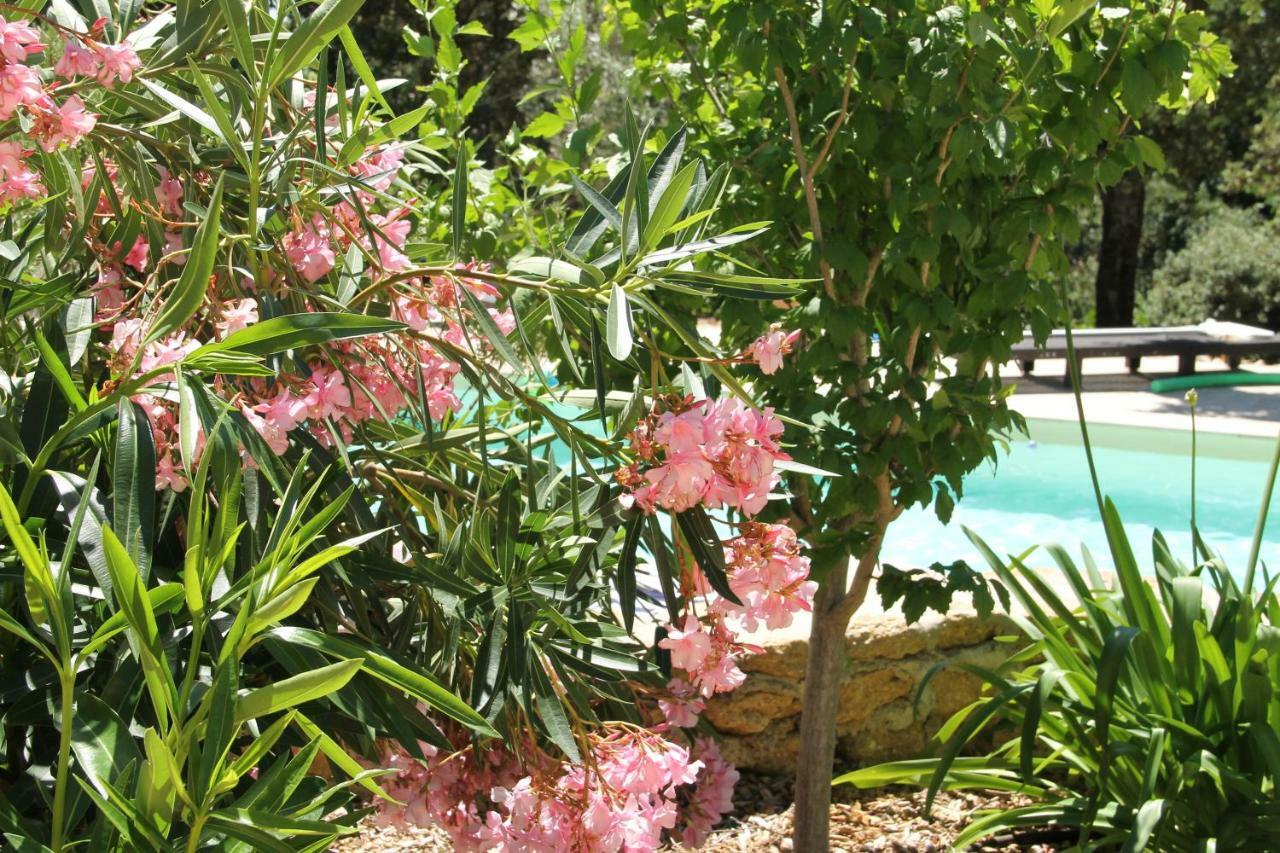 L'Atelier Bed & Breakfast Saint-Maximin  Luaran gambar