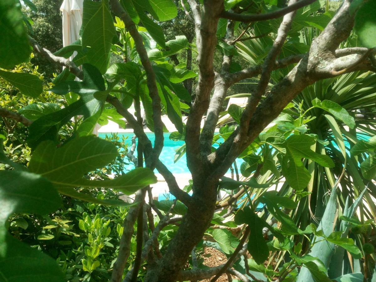 L'Atelier Bed & Breakfast Saint-Maximin  Luaran gambar