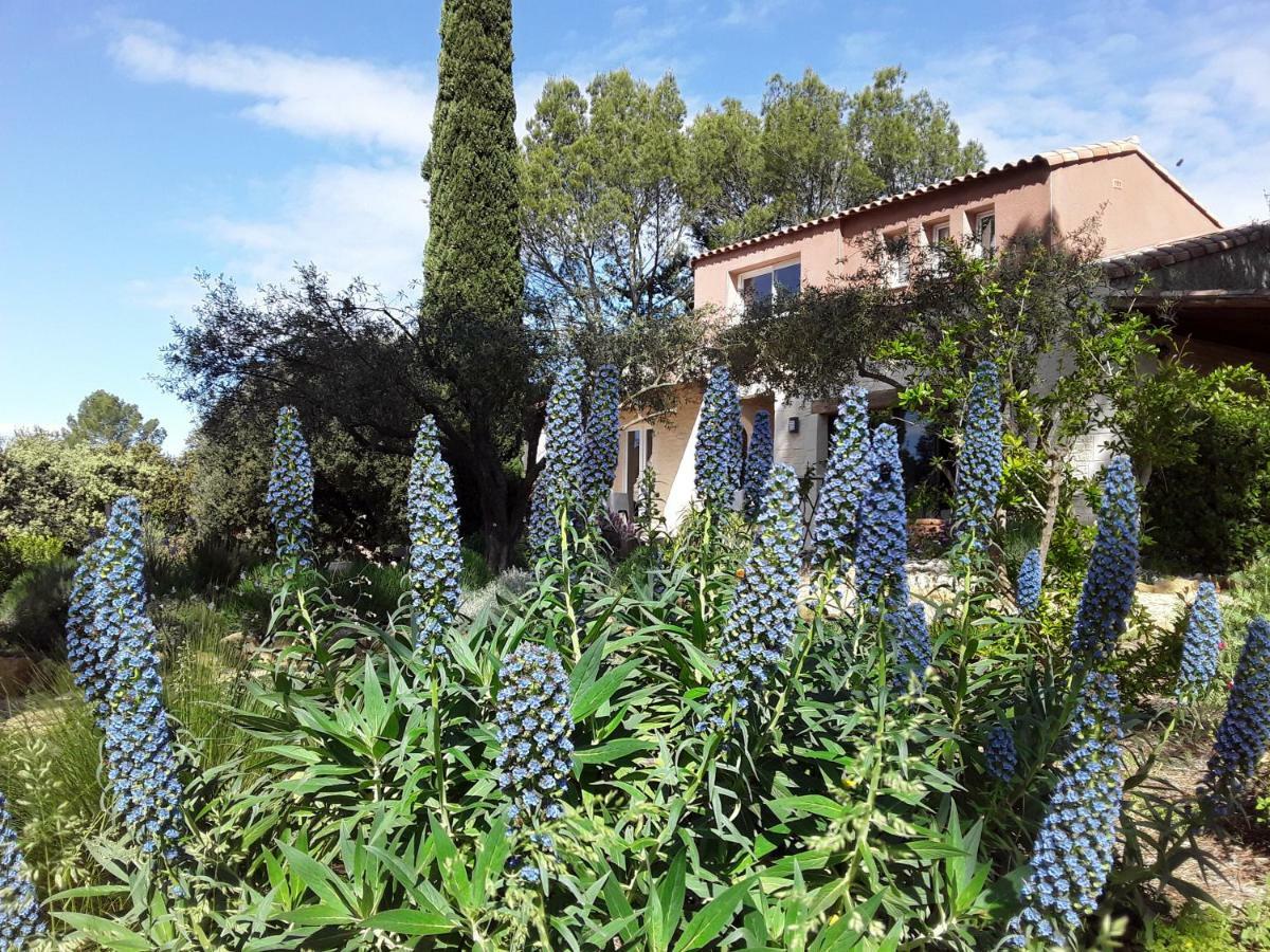 L'Atelier Bed & Breakfast Saint-Maximin  Luaran gambar